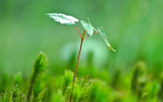 温州节能环保,温州节能环保网站建设方案